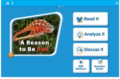 A Reason to Be Red