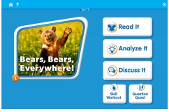 Bears, Bears, Everywhere!
