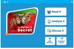 The Spider’s Secret