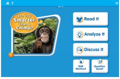 Are You Smarter Than a Chimp?