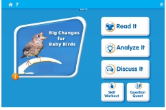 Big Changes for Baby Birds