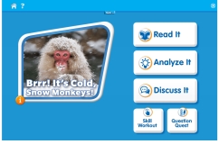 Brrr! It’s Cold, Snow Monkeys!