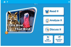 This Bird, That Bird