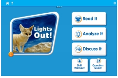 Lights Out!