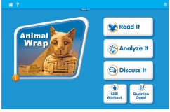 Animal Wrap