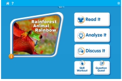 Rainforest Animal Rainbow