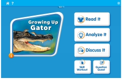 Growing Up Gator