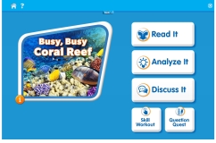Busy, Busy Coral Reef