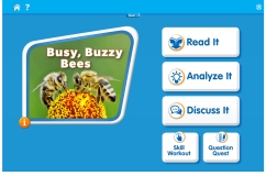 Busy, Buzzy Bees