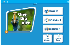 One Big Bird