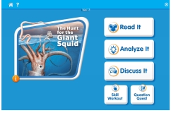 The Hunt for the Giant Squid
