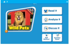 Wild Pets